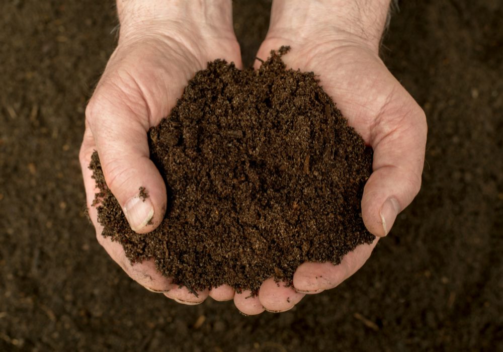 Compost Treet